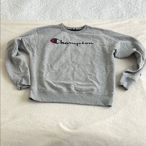 Champion Gray Men's Sweater